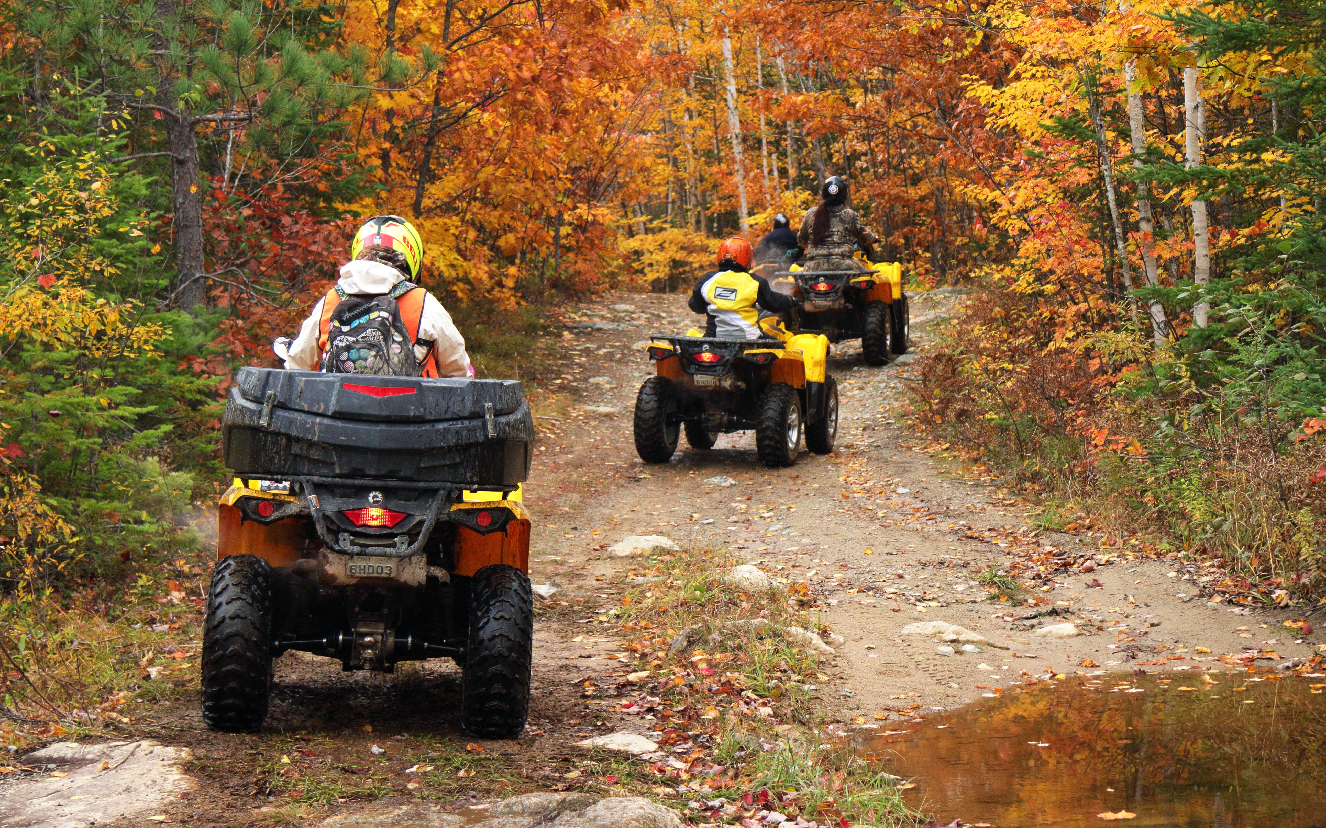 8 Indigenous Tourism Experiences To Book In 2024 Northern Ontario Travel   David Bouthillier   Atvs Driving Down Fall Trail While On Mukwa Adventures Guided ATV Tours Ontario 